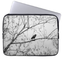 Crow in a Birch Tree