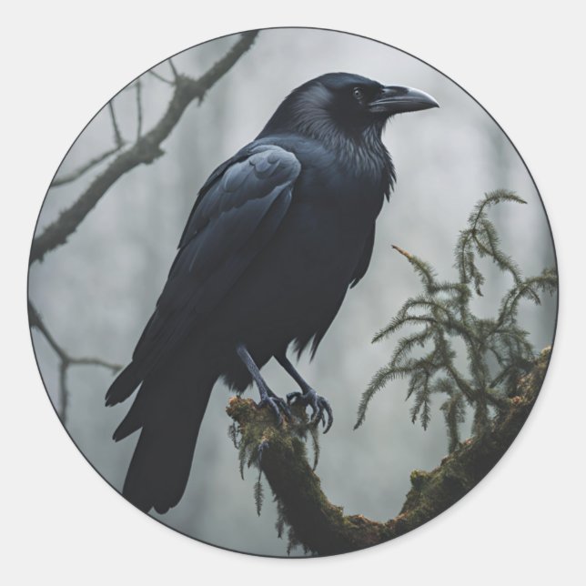 Crow in a tree classic round sticker (Front)