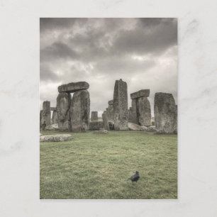 Crow in front of Stonehenge, England Postcard