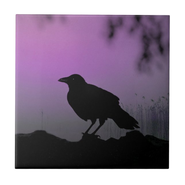 Crow In Nature Silhouette Tile (Front)