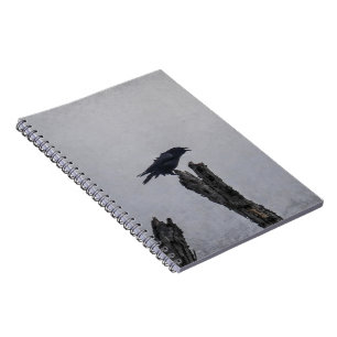 Crow notebook