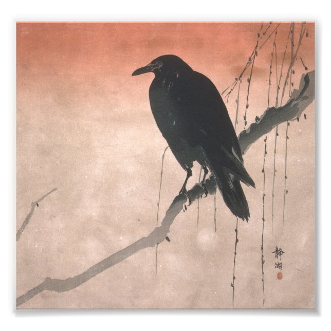 Crow on a Willow Branch Photo Print (Front)