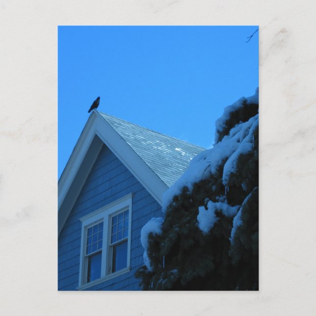 Crow on Roof in Winter Postcard (Front)
