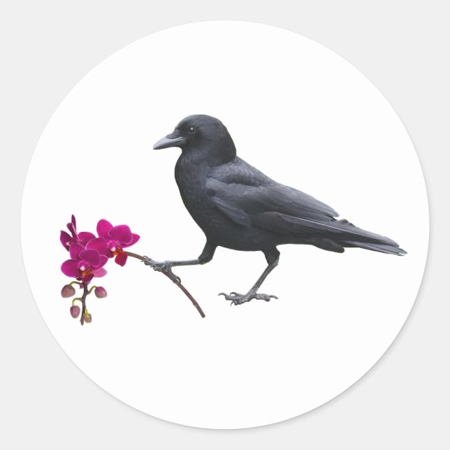 Crow Orchid  Stickers (Front)