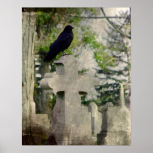 Crow Owns It Poster