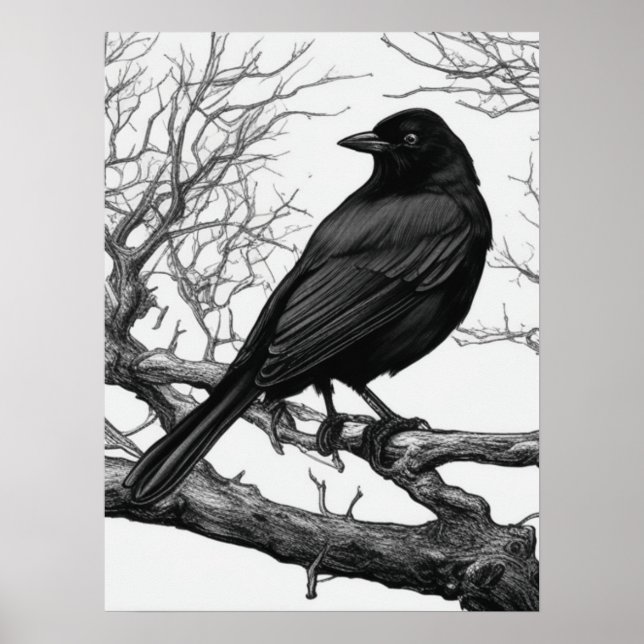 Crow Perched on Bare Winter Branches Poster (Front)