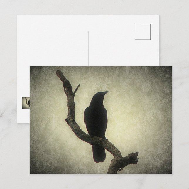 Crow Postcard (Front/Back)