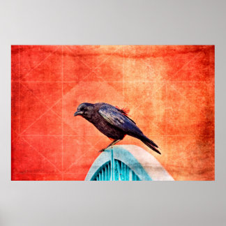 crow poster
