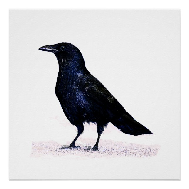 Crow Poster (Front)