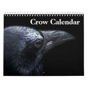 Crow Raven 2025 Calendar