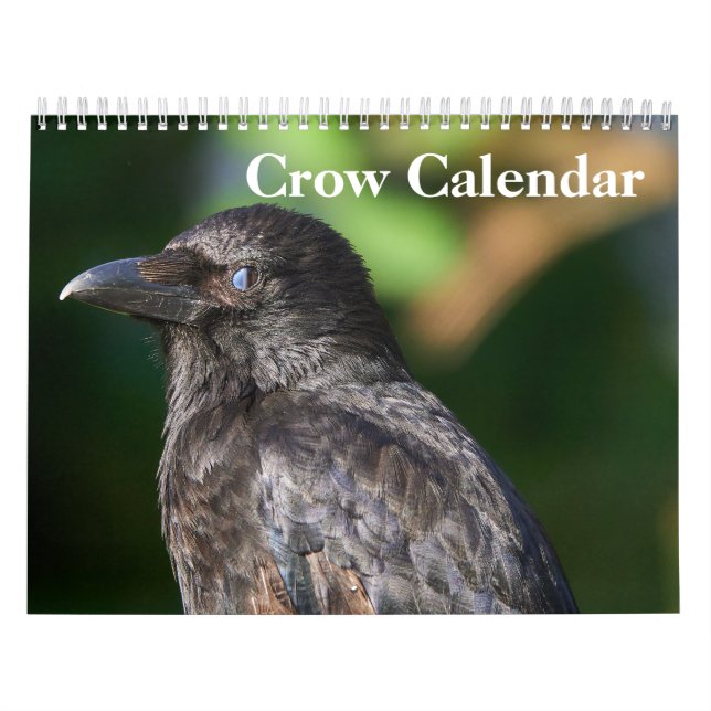 Crow Raven 2026 Calendar (Cover)