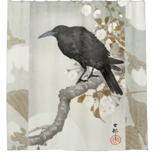 Crow Raven Koson Japanese Bird