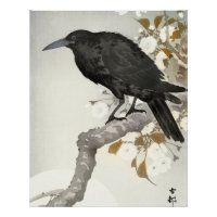 Crow Raven Koson Japanese Bird