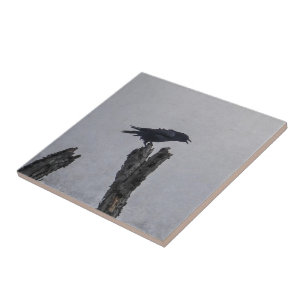 Crow Tile