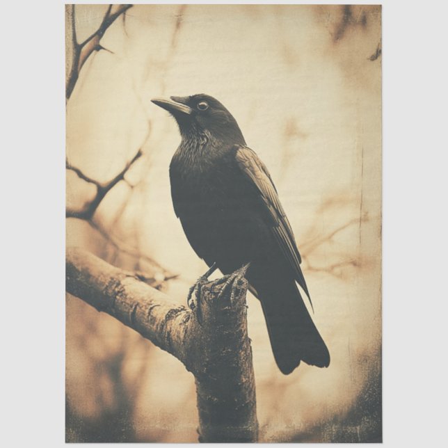 Crow Vintage Style Decoupage Tissue Paper (Front)