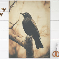Crow Vintage Style Decoupage