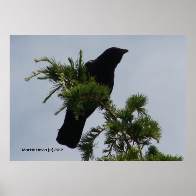Crow Watch Tower Poster (Front)