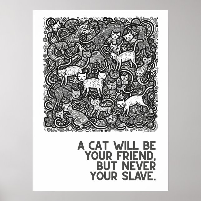 Crowded cats - proverbs poster (Front)