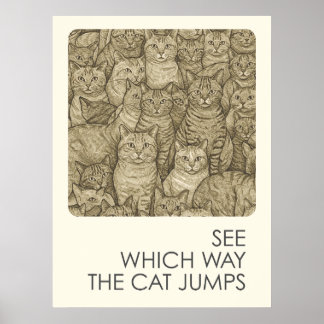 Crowded cats - proverbs poster