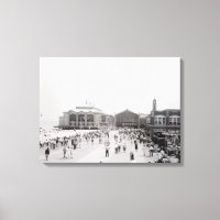 Crowds