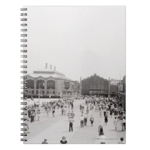 Crowds Notebook