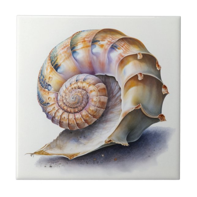 Crowie Conch Shell Watercolor Tile (Front)