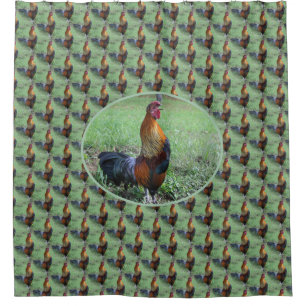 Crowing Rooster Nature Art 