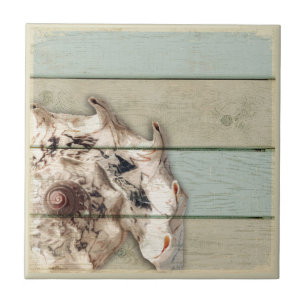 Crown Conch Tile