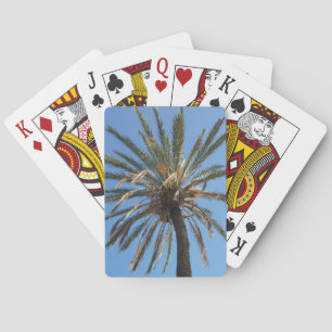 crown of a palm tree playing cards