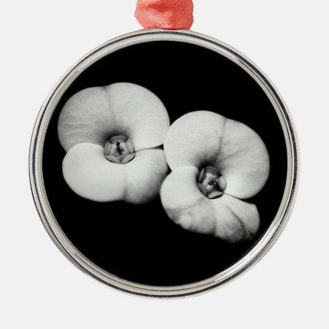 crown of thorns metal ornament (Front)