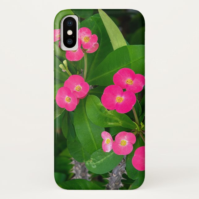 Crown of Thorns pink blossoms Case-Mate iPhone Case (Back)