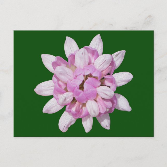 Crown Vetch #1 Postcard (Front)