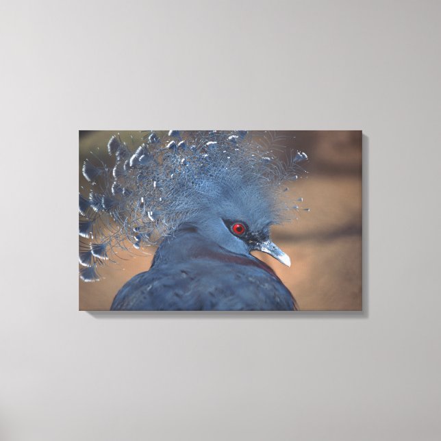crowned pigeon canvas print (Front)