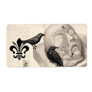 Crows and corpse