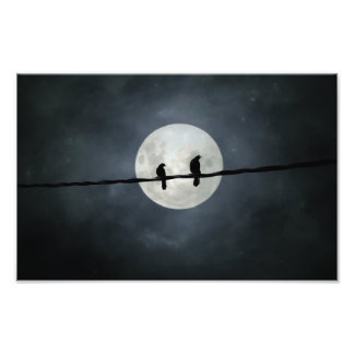 Crows Lit By The Slivery Moon Photo Print