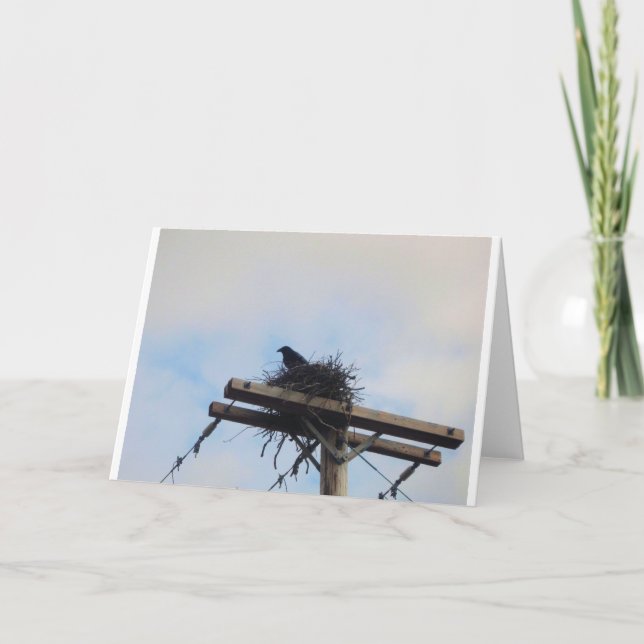 Crows Nest in Ak Card (Front)