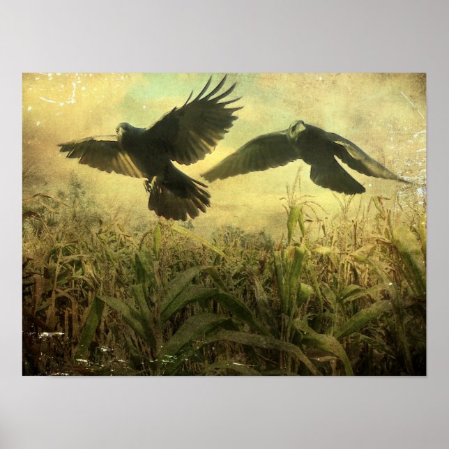 Crows Of The Corn Poster (Front)