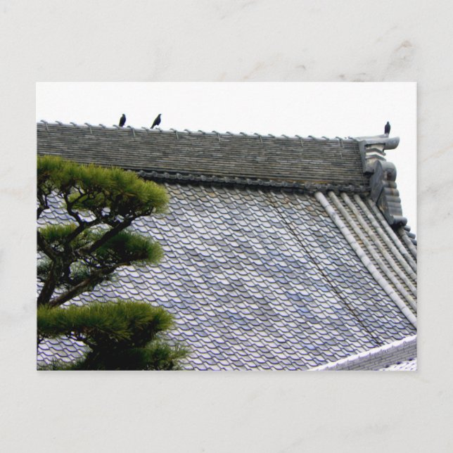 Crows on the temple roof postcard (Front)