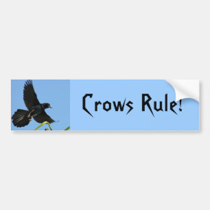 Crows Rule Bumper Sticker