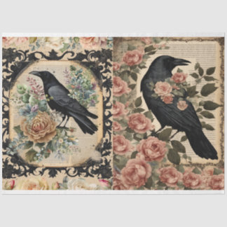 Crows tissue  paper