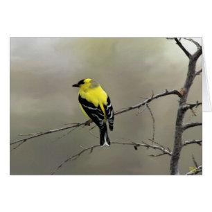 Croyez toujours en vous-même