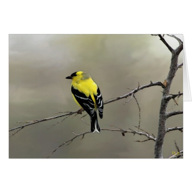 Croyez toujours en vous-même (Devant horizontal)