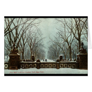 Cru c1910 du Central Park NY d'hiver
