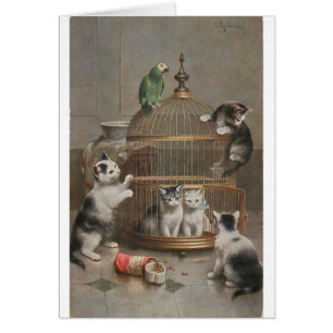 Cru - chatons et perroquet,