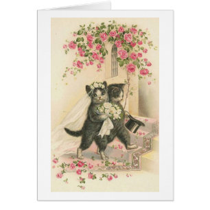 Cru - chats de mariage,