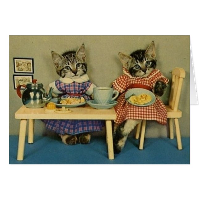 Cru - chats et petit déjeuner de crêpe, (Devant horizontal)