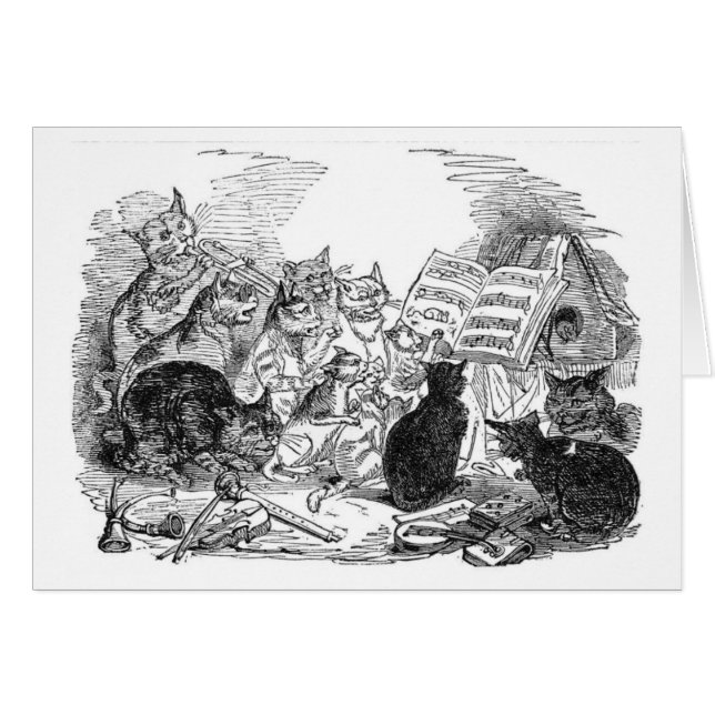 Cru - chats faisant la musique, (Devant horizontal)