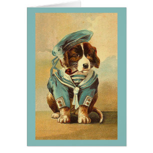 Cru - chien dans le costume de marin,