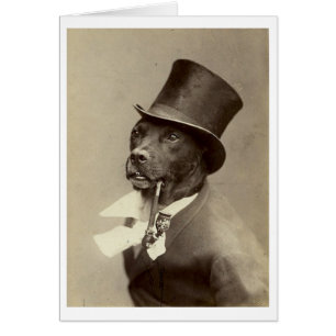 Cru - chien de monsieur avec le casquette