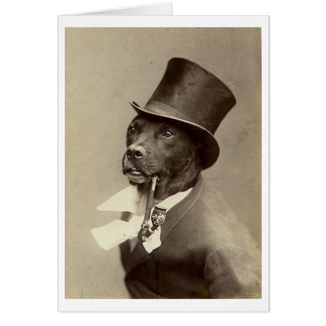 Cru - chien de monsieur avec le casquette (Devant)